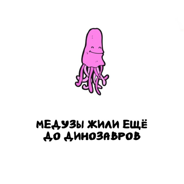 Интересные факты на все случаи жизни