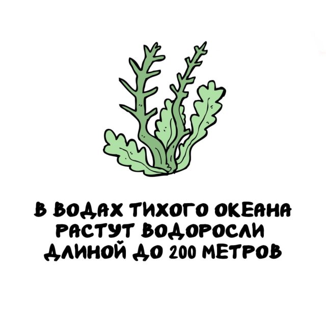 Интересные факты на все случаи жизни