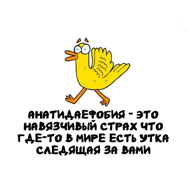 Интересные факты на все случаи жизни