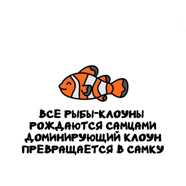 Интересные факты на все случаи жизни