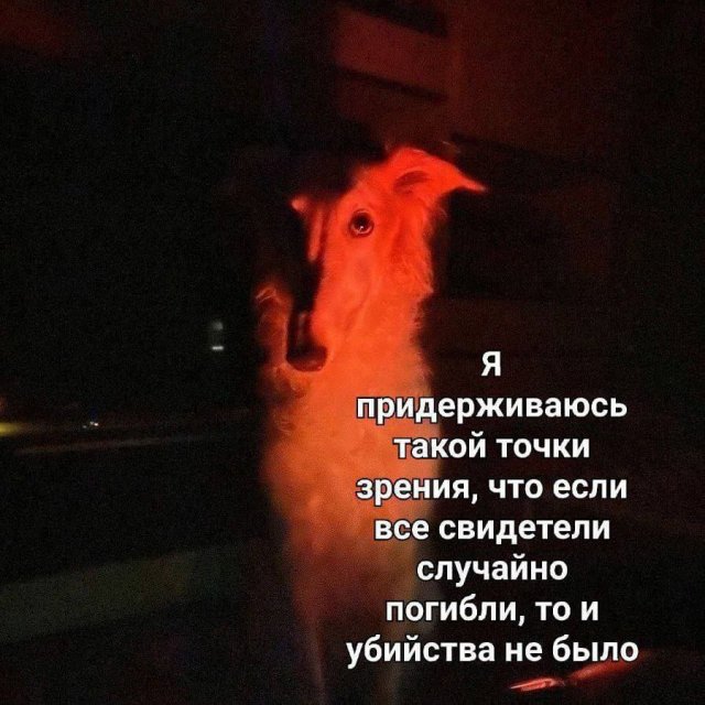 Смешные картинки - 19.08.2025