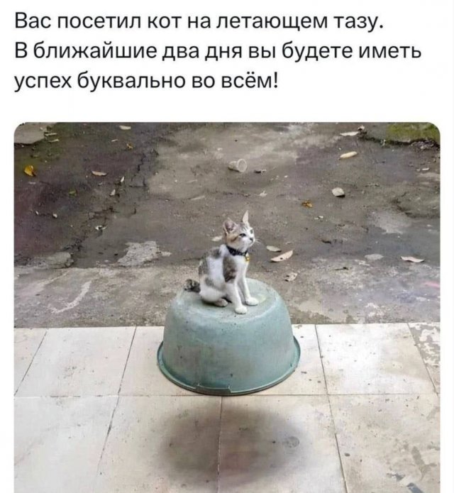 Смешные картинки - 19.08.2025