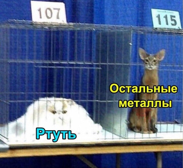 Смешные картинки - 19.08.2025
