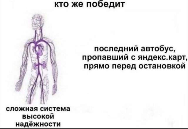 Смешные картинки - 19.08.2025