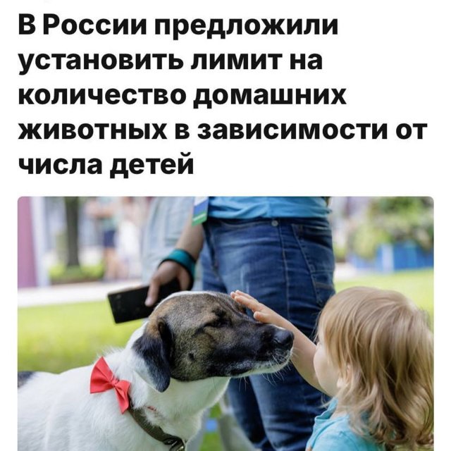 Подборка картинок. Вечерний выпуск - 19.08.2025