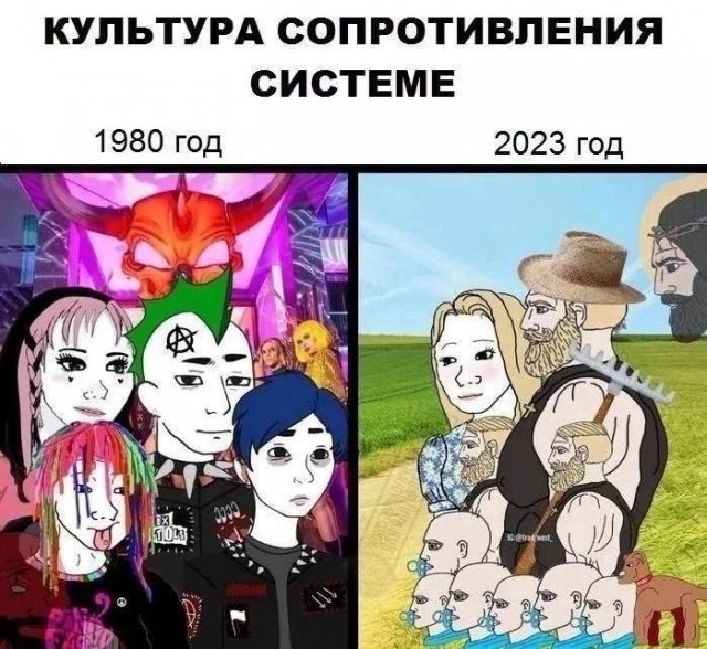 Подборка картинок. Вечерний выпуск - 19.08.2025