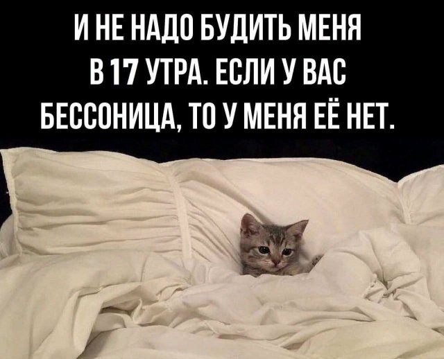 Лучшие шутки и мемы из Сети - 19.08.2025