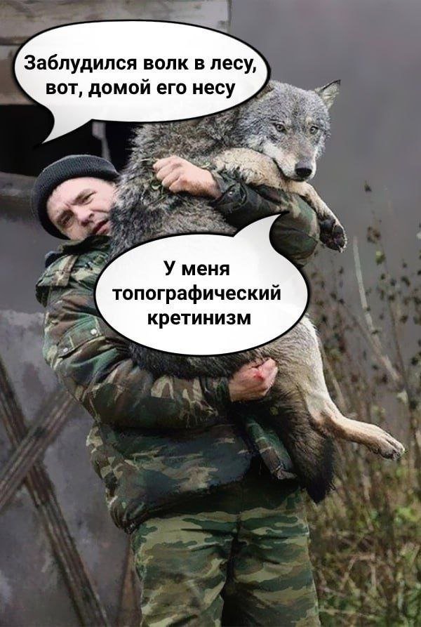 Лучшие шутки и мемы из Сети - 19.08.2025