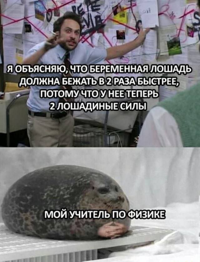Лучшие шутки и мемы из Сети - 19.08.2025