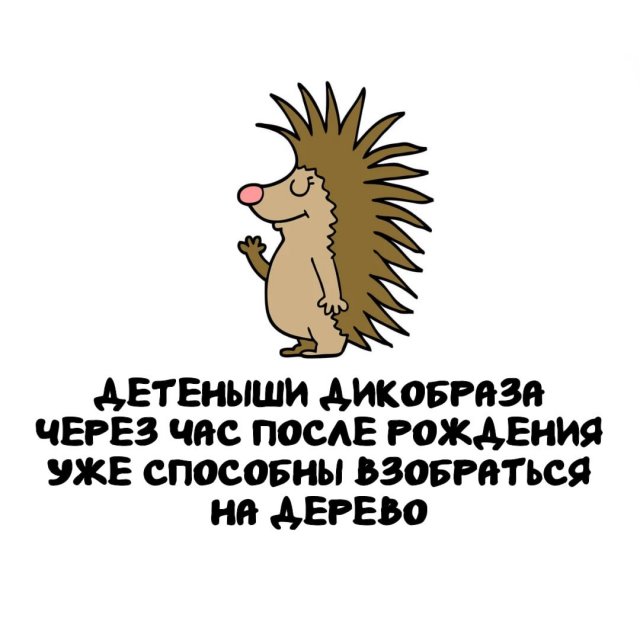 Интересные факты на все случаи жизни