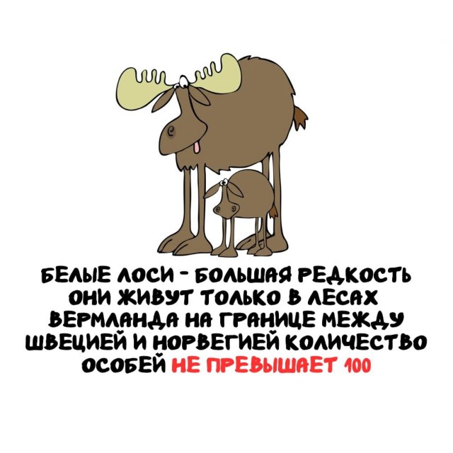 Интересные факты на все случаи жизни
