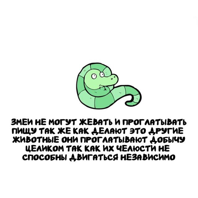 Интересные факты на все случаи жизни