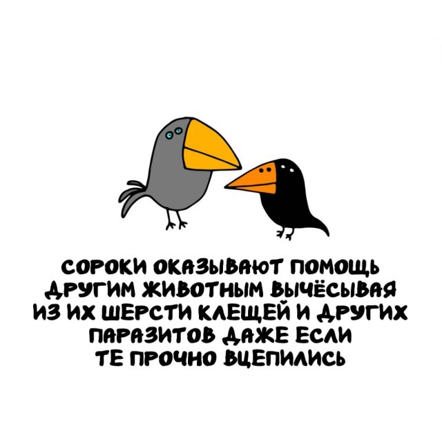 Интересные факты на все случаи жизни