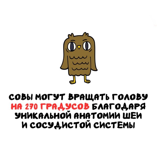 Интересные факты на все случаи жизни