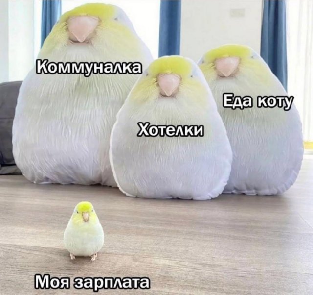 Смешные мемы - 20.08.2025