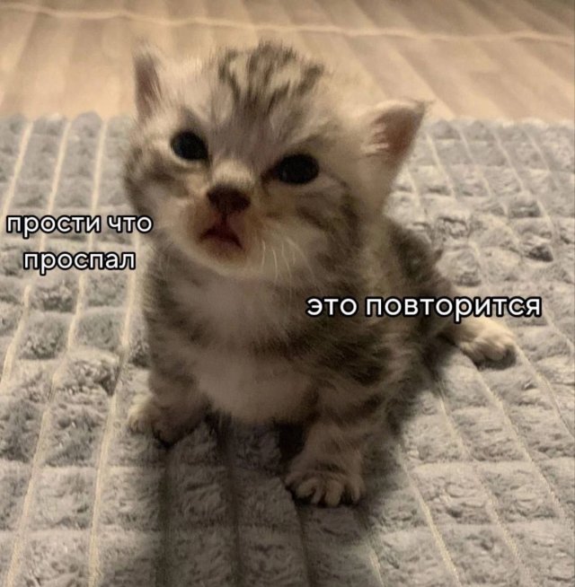 Смешные картинки - 20.08.2025