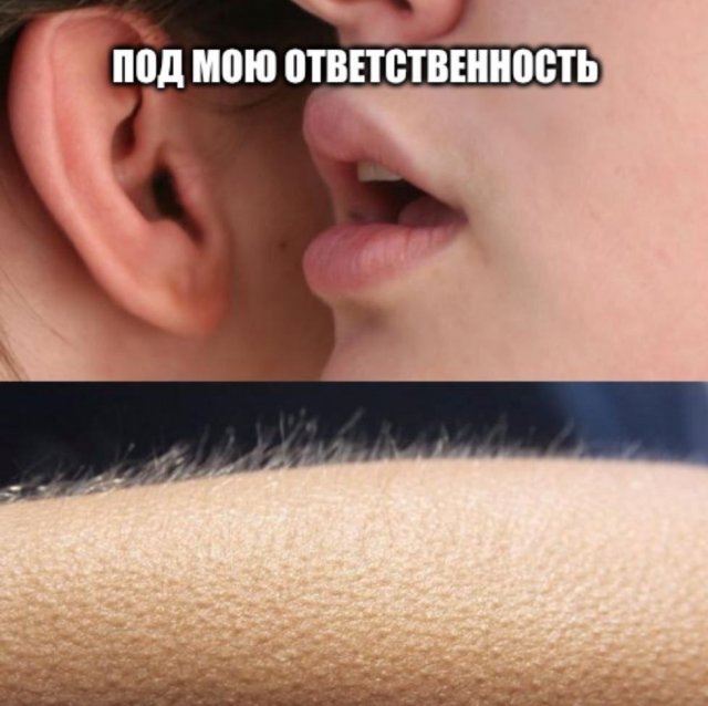 Смешные мемы - 21.08.2025