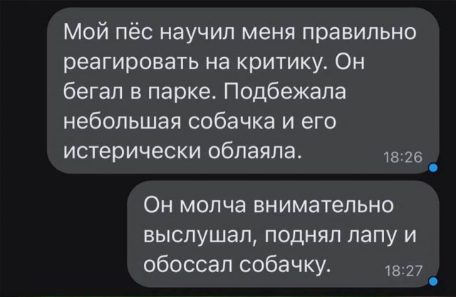 Смешные мемы - 21.08.2025