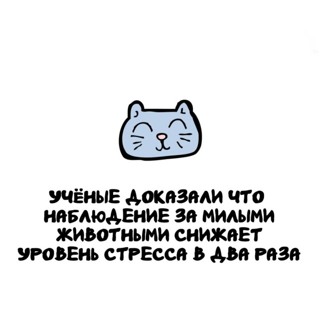 Интересные факты на все случаи жизни