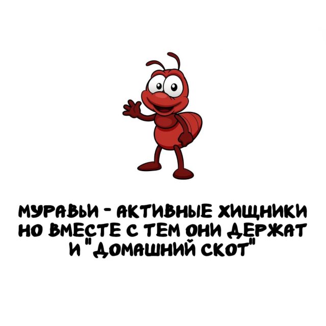 Интересные факты на все случаи жизни