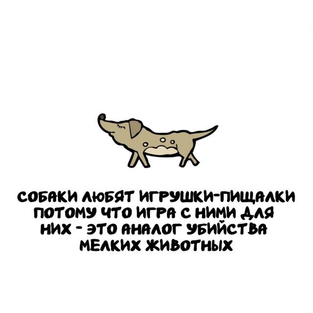 Интересные факты на все случаи жизни