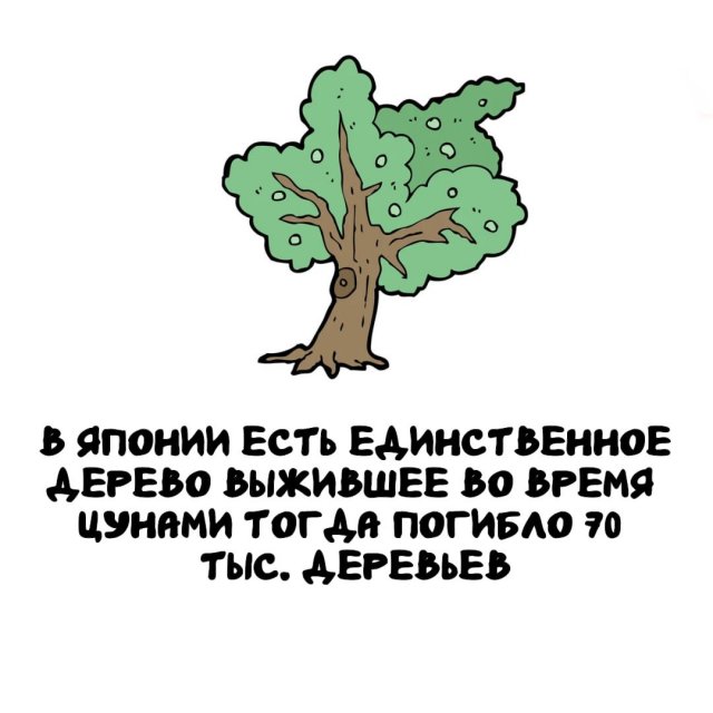 Интересные факты на все случаи жизни