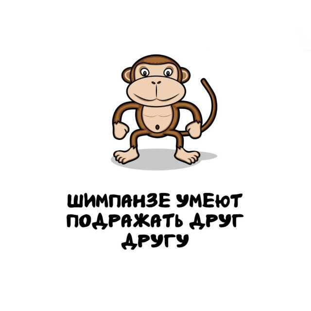 Интересные факты на все случаи жизни
