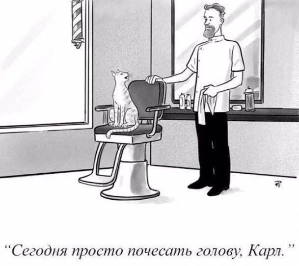 Смешные картинки - 22.08.2025