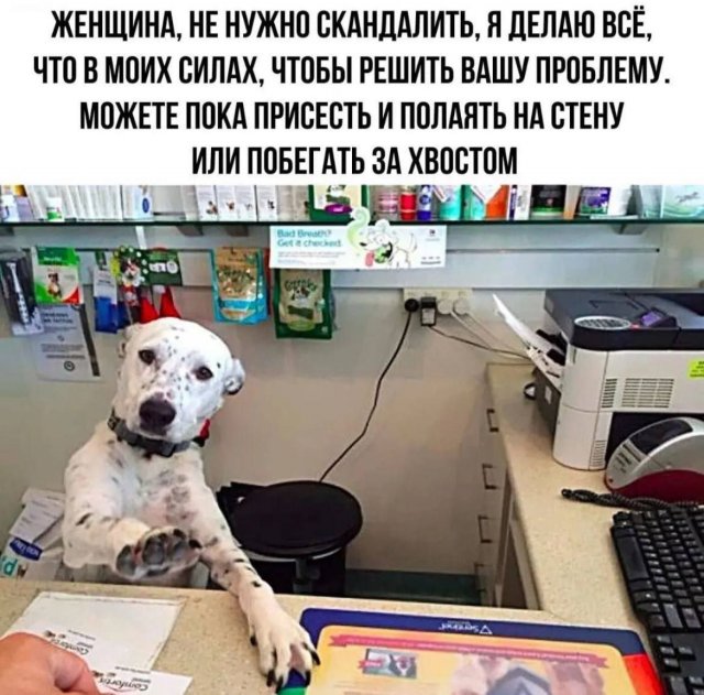 Смешные картинки - 22.08.2025