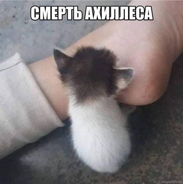 Смешные картинки - 22.08.2025