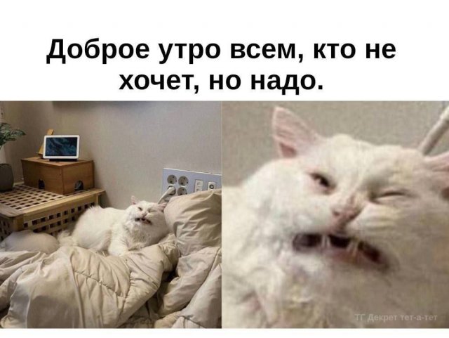 Смешные картинки - 22.08.2025
