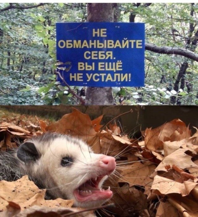 Смешные картинки - 22.08.2025