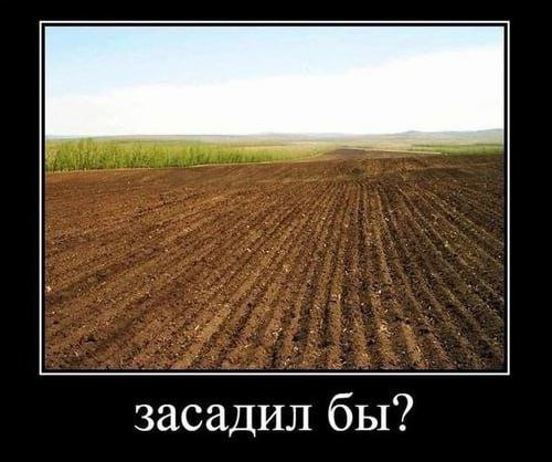 Демотиваторы - 22.08.2025