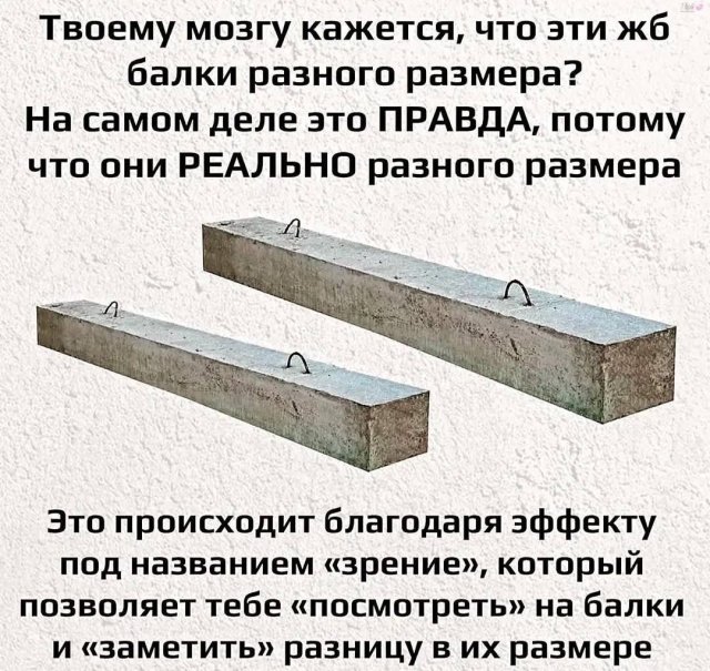 Лучшие шутки и мемы - 21.08.2025