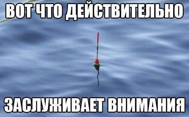 Лучшие мемы и картинки - 22.08.2025