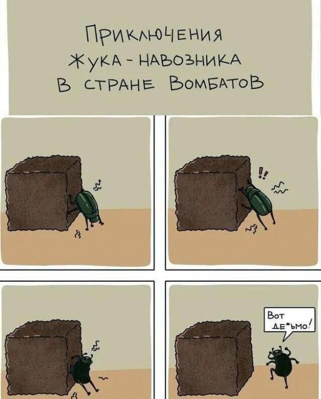 Смешные мемы - 25.08.2025