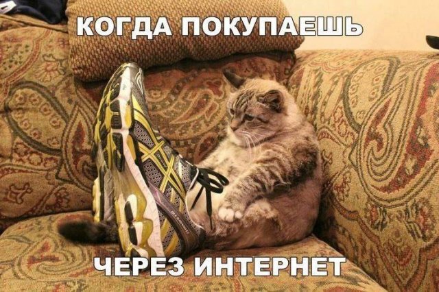 Лучшие шутки и мемы из Сети - 25.08.2025