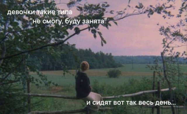 Лучшие шутки и мемы из Сети - 25.08.2025
