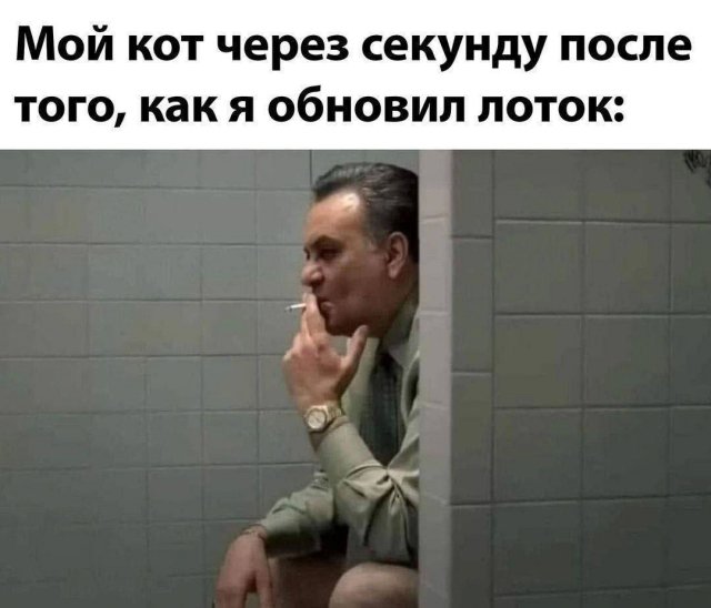 Лучшие шутки и мемы из Сети - 25.08.2025
