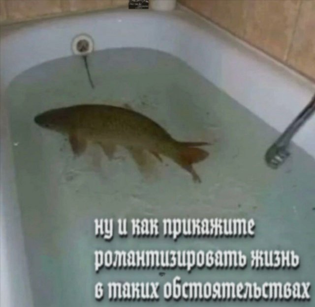 Лучшие шутки и мемы из Сети - 25.08.2025