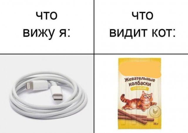 Смешные мемы - 26.08.2025