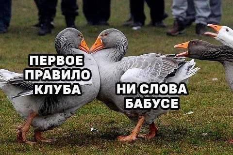 Смешные мемы - 26.08.2025