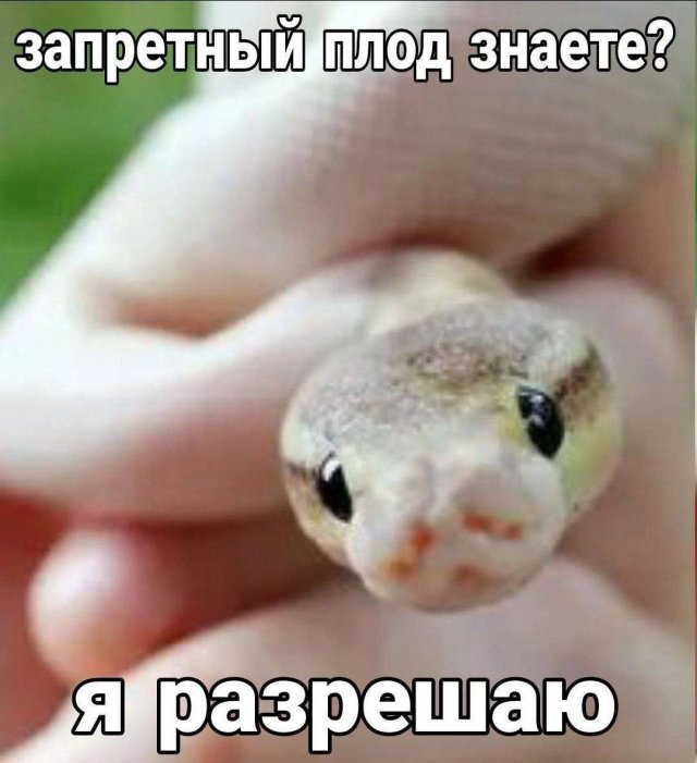 Смешные мемы - 26.08.2025
