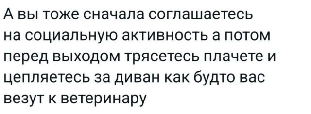 Смешные мемы - 26.08.2025