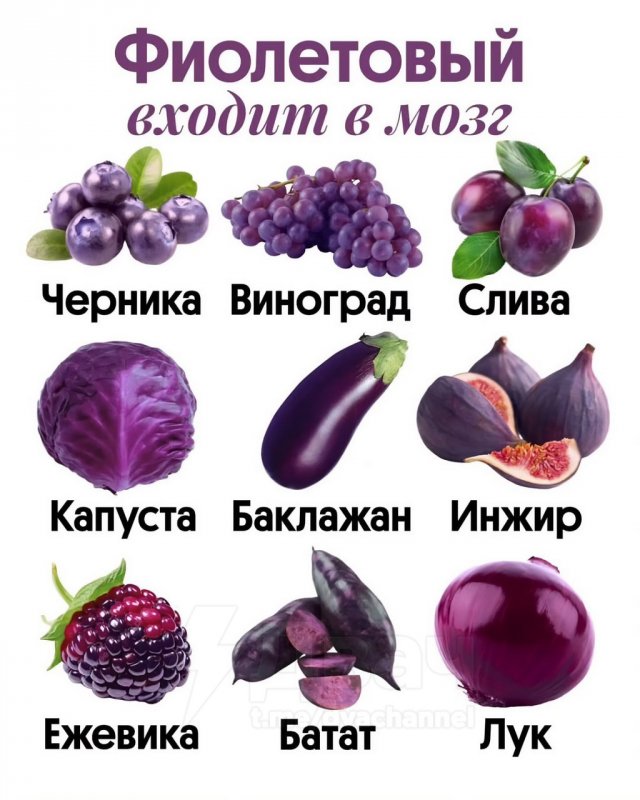 Диетологи: цвет еды связан с тем, какие вещества мы получаем и каким органам они нужны
