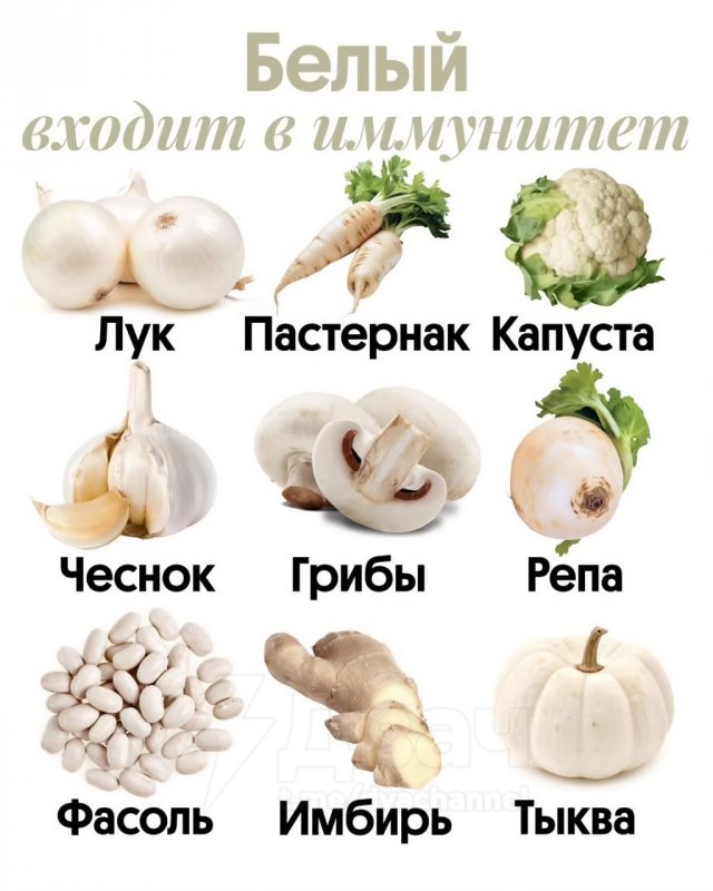 Диетологи: цвет еды связан с тем, какие вещества мы получаем и каким органам они нужны
