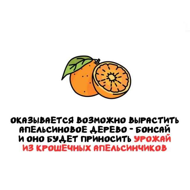 Интересные факты на все случаи жизни