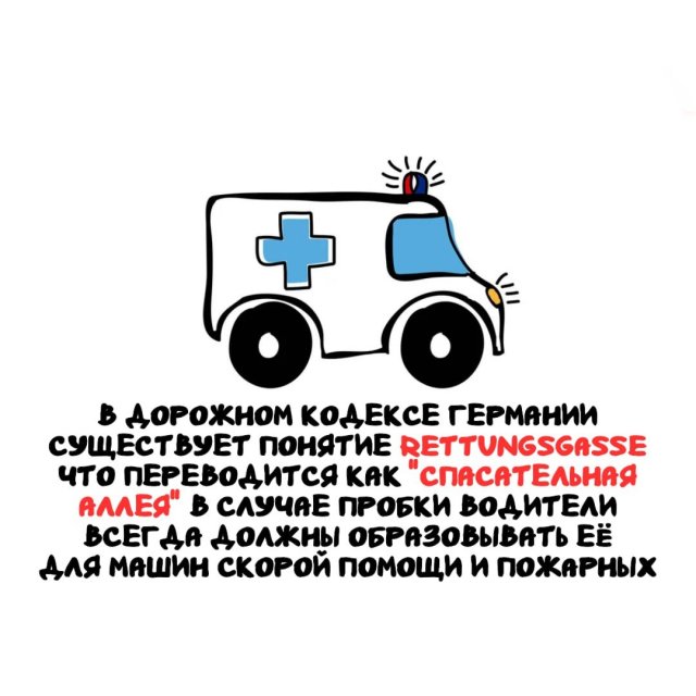 Интересные факты на все случаи жизни