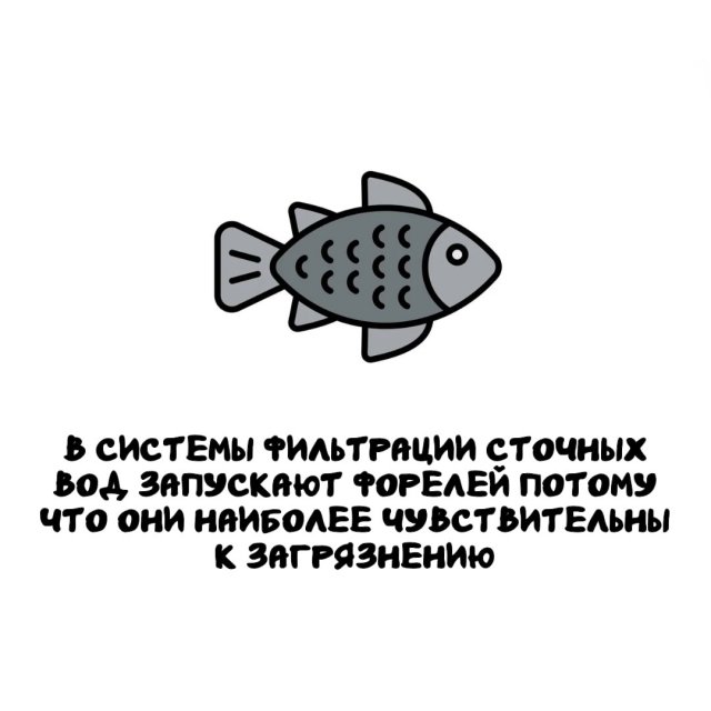 Интересные факты на все случаи жизни