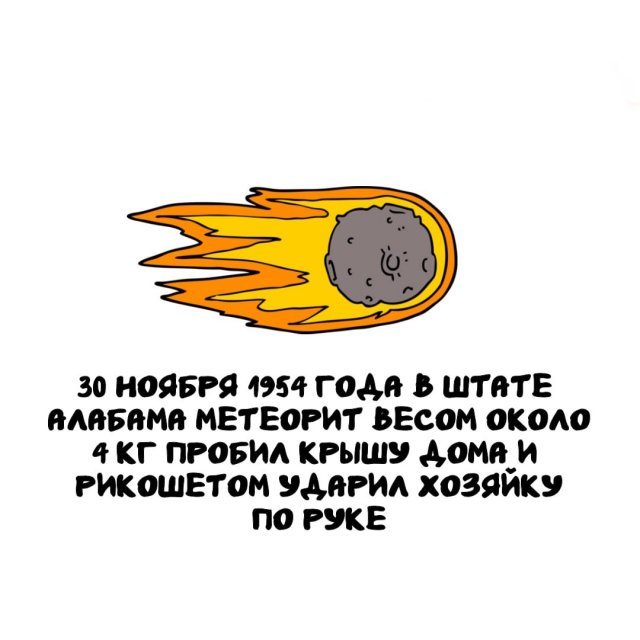 Интересные факты на все случаи жизни